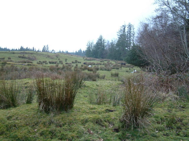 Ballynahinch Grounds
